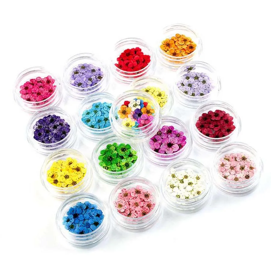 100 mini fleurs de narcisse sé - Dried Flower Bookmark avis et prix