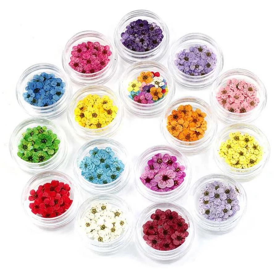 100 mini fleurs de narcisse sé - Dried Flower Bookmark avis et prix