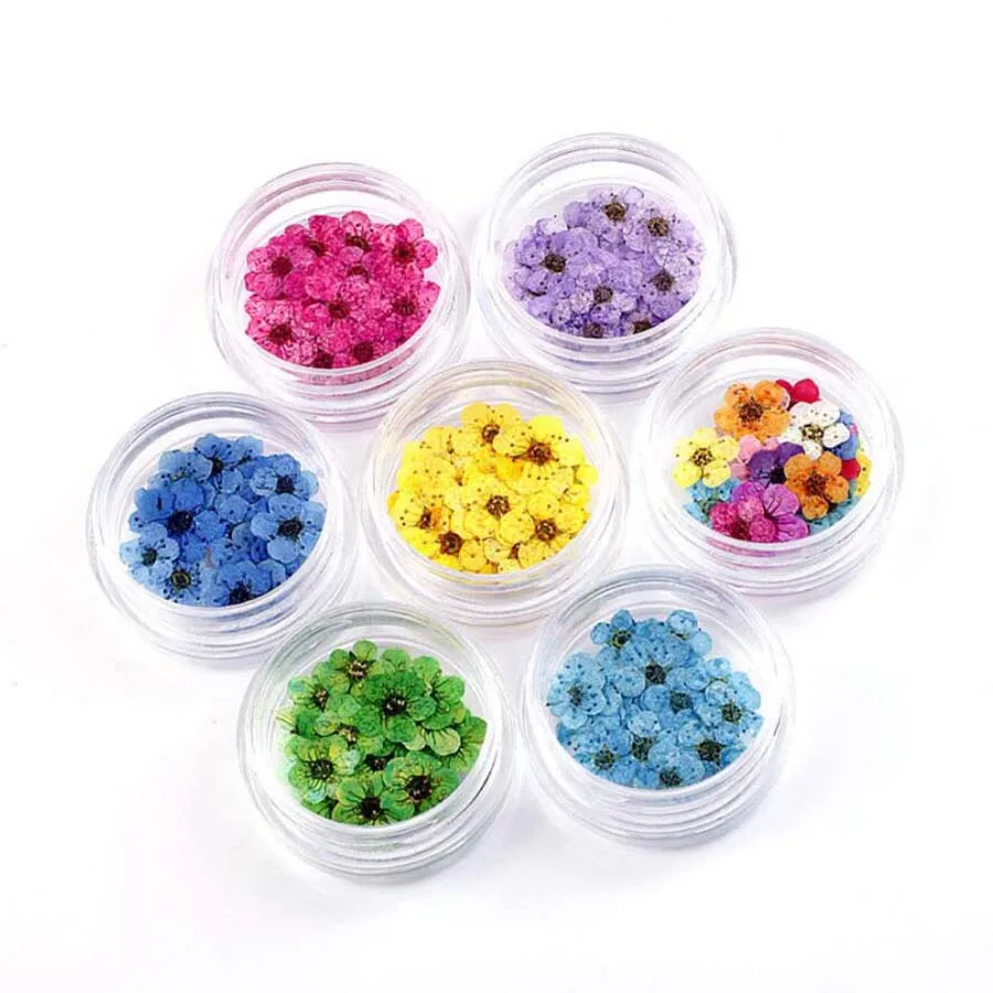 100 mini fleurs de narcisse sé - Dried Flower Bookmark avis et prix