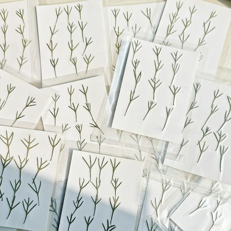 24 pièces, Feuilles d'achillea - Dried Flower Bookmark avis et prix