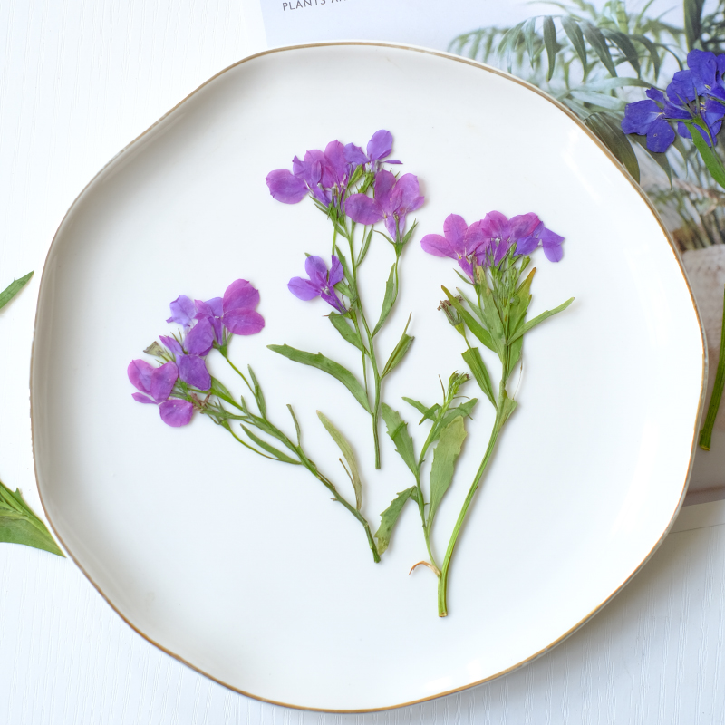 6 pièces/8-13 cm, fleurs séché - Dried Flower Bookmark avis et prix
