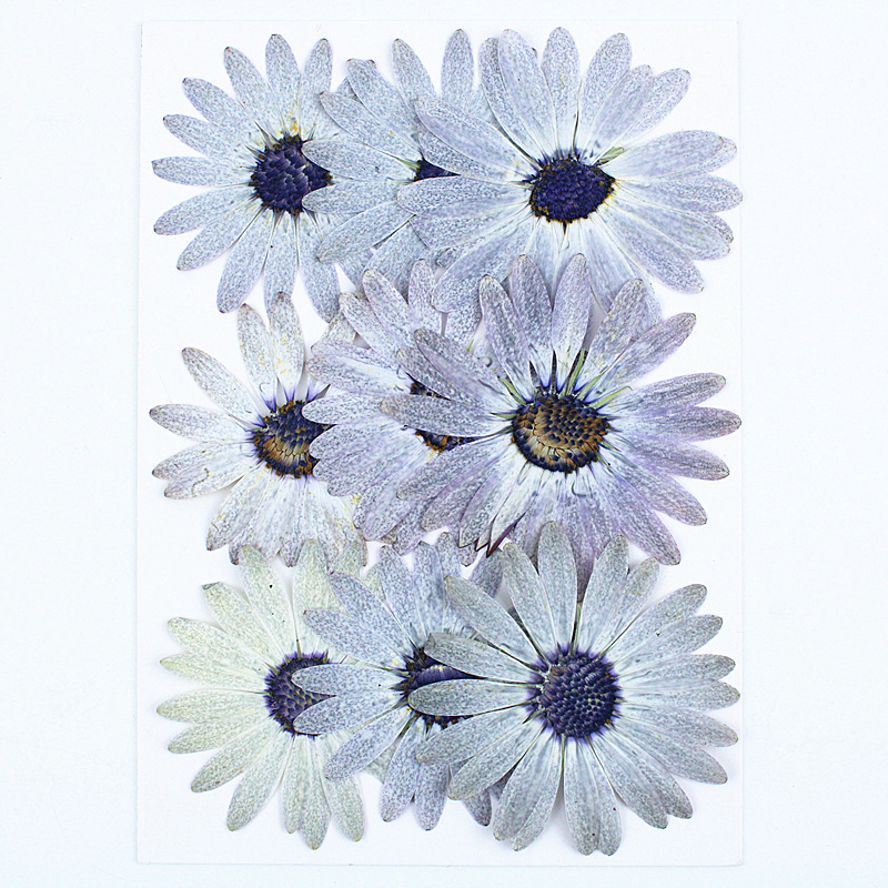 Margaret gris-blanc de qualité - Dried Flower Bookmark avis et prix