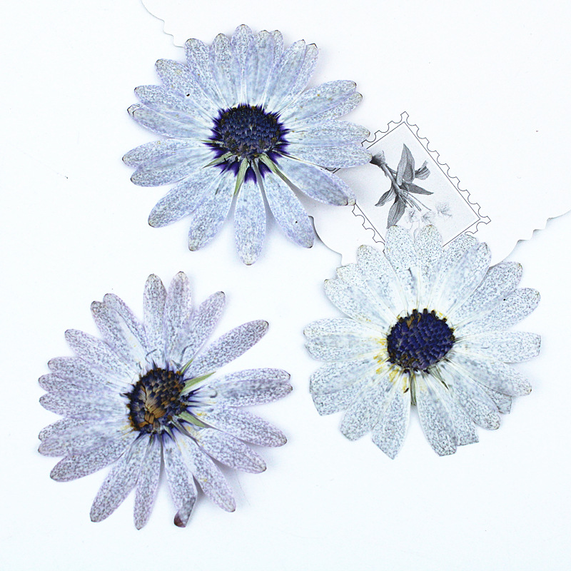 Margaret gris-blanc de qualité - Dried Flower Bookmark avis et prix