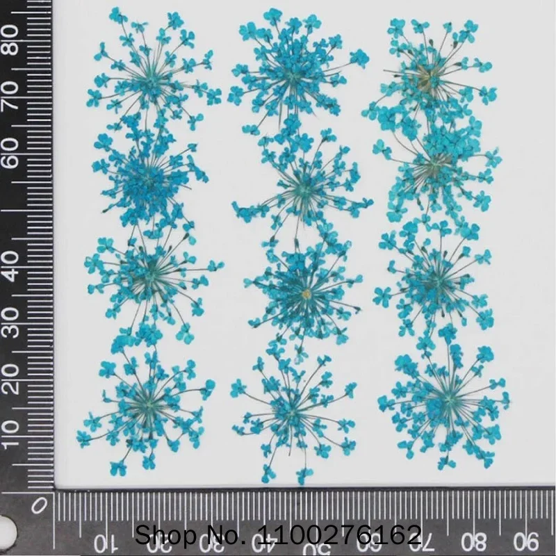 60 pièces pressées séchées Amm - Dried Flower Bookmark avis et prix